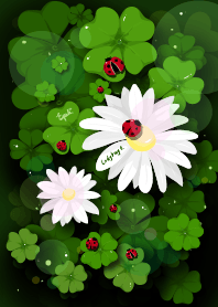 ladybug 2 : (EPK.1203)