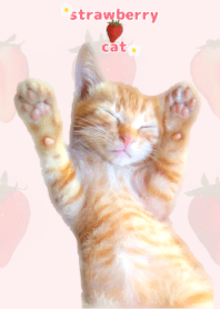 いちご と 茶トラ 猫 ねこ 着せ替え ピンク