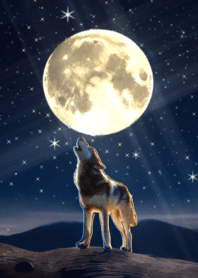 bullish wolf and moon