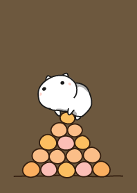 cat staring -23 - top