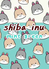 shibainu dog theme12 mint green