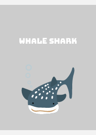 whale shark on white