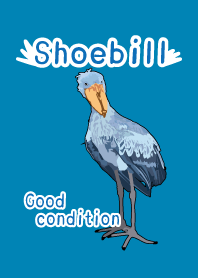 Good condition Shoebill