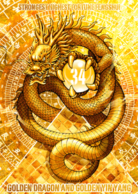 Golden dragon and golden YinYangLucky 34