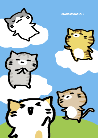 Mr. cat cats BU