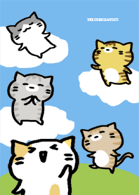 猫猫先生们 蓝色