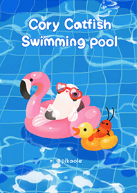 Cory catfish swimming pool