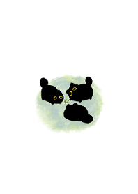 Owl Black Cat Theme