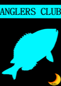 Shadow of aqua colored fish