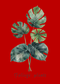 優雅觀葉植物(紅色)