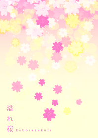 Scattering cherry tree yellow pink J