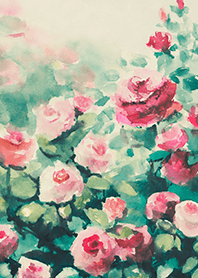 Beautiful rose flower(R4291)