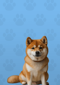 Cute Shibainu Theme Blue 01