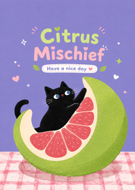 Pomelo Meow Hideout