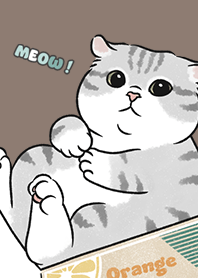 neko single15 / brown