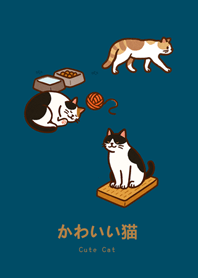 我養的貓咪們(神秘青藏色)