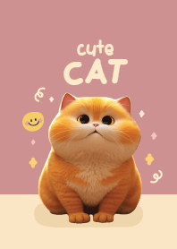 Cat Orange Cute : British shorthair!