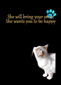 sweet cat and cozy place black