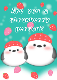 strawberry shimaenagabirdtheme mintgreen