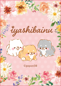 いやしばいぬ♥お花♥