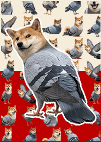 Shiba pigeon Beige Red