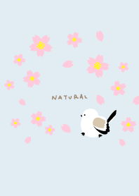 Long-tailed tit spring walk28 from Japan