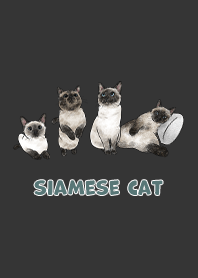 siamesecats3 / carbon