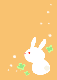 Rabbit and clover 4