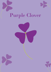 Purple Clover 紫色幸運草