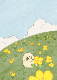 The dog and the flower field