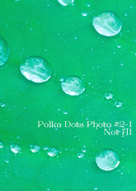 Polka Dots Photo#2-1Not AI