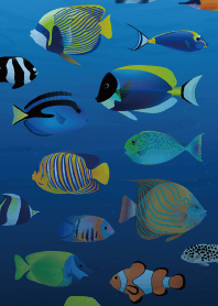 アンダーウォーターワールド_熱帯魚図鑑