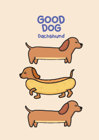 Dachshund : Good Dog