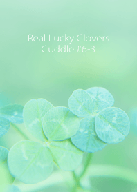 Real Lucky Clovers Cuddle #6-3