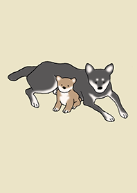 狗 柴犬_象牙