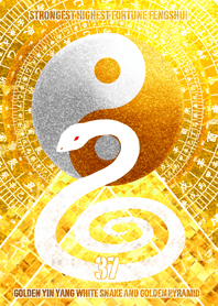 White snake and golden YinYang Lucky 37