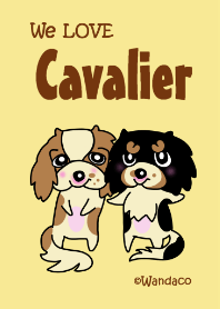 We LOVE Cavalier