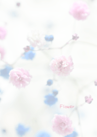 Flower Theme 19