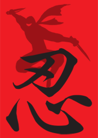 Shadow NINJA