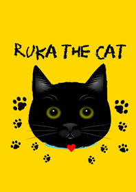 LUKA the CAT