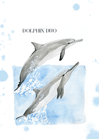 Dolphin Duo