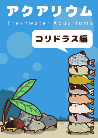 アクアリウム：コリドラス編