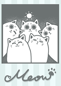 Meow J-Grey Indigo. Light Gray