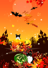 halloween(Tuxedo cat, pumpkin)