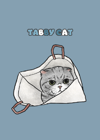 tabbycat8 - light denim .jp