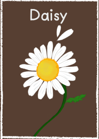 Daisy V.4
