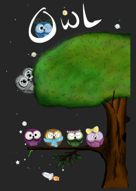 Outer Sky Planet Owl