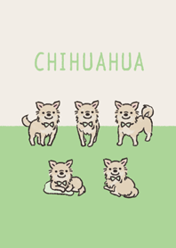 Doodle cream chihuahua