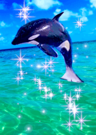 Lucky Orca Sea purple