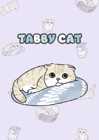 creamtabby3 / light purple